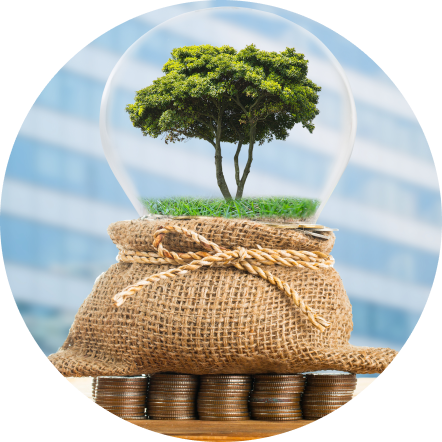 new_assured_wealth_plan_pos_variant__1x.webp